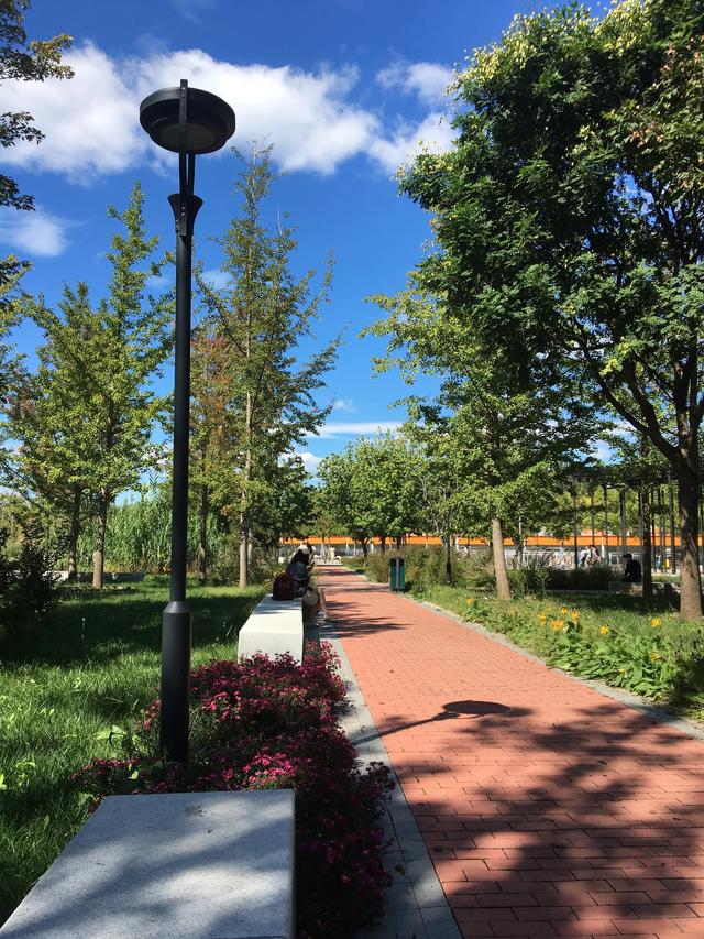 我的二胎宝宝，胎儿水肿+NT增厚