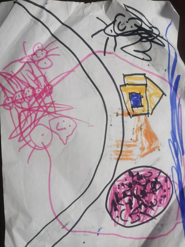 这些能说明孩子什么心理吗？