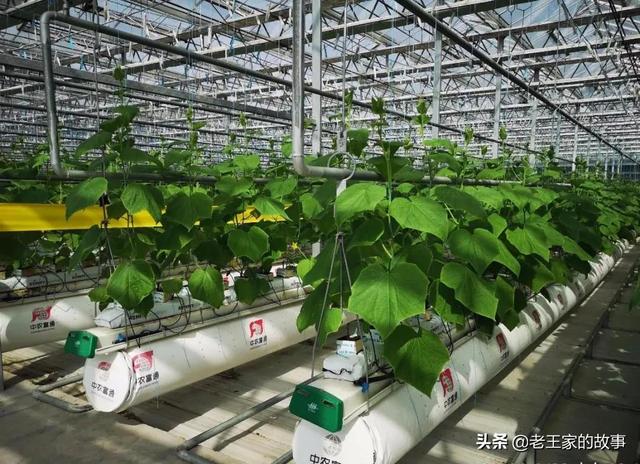 乡村振兴关键点：乡村产业发展的“3544”理念