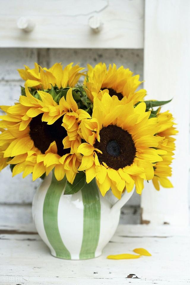 产后抑郁症比较适合送什么礼物？