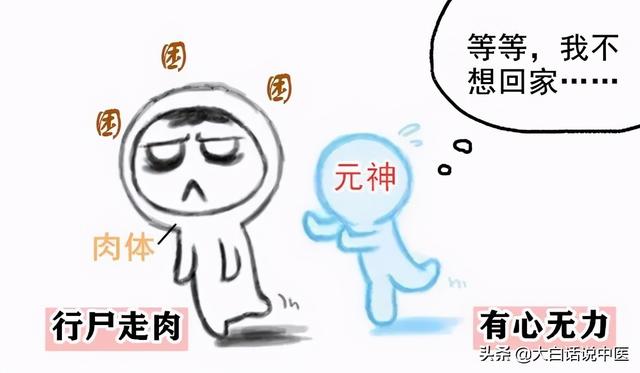 大白话说中医第83期｜失眠久了伤身体，健脾养胃补心气