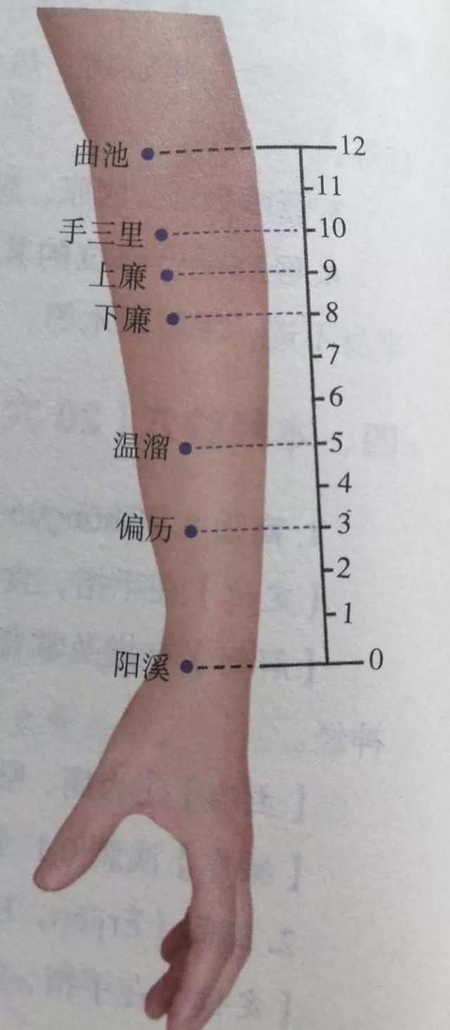 每日一穴……曲池穴