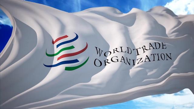 想要强买强卖？澳大利亚在WTO胡搅蛮缠：中国为什么“不守规则”