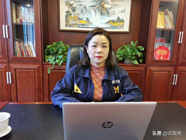 冬储春销肥价是涨还是跌？