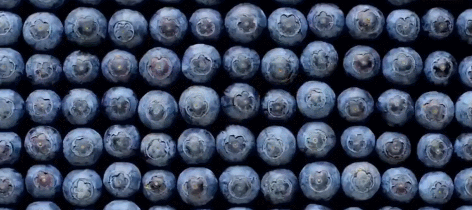 “超级水果”蓝莓的挑选、保存、清洗和食用攻略，不收藏对不起你花的银子
