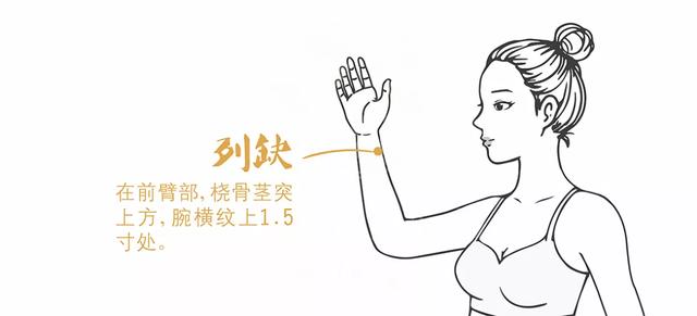 人体的中医穴位治疗，常见病自己按摩也可以治