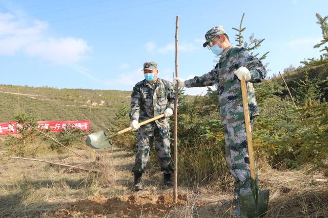 甘肃省定西市安定区人武部 植树添绿办实事服务地方尽全力 全网搜