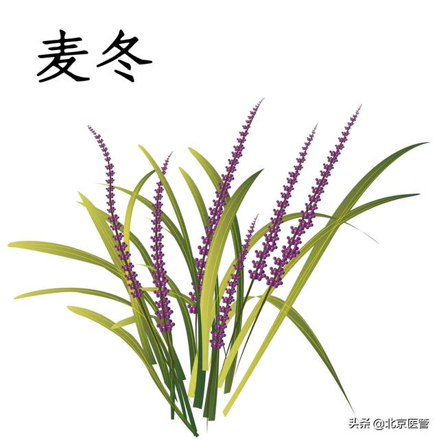 冬季皮肤干燥怎么办？药师推荐这几款中药