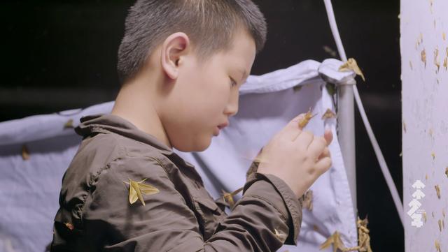 11岁男孩爱好特殊却被父母支持：被父母尊重的孩子，活得有多爽