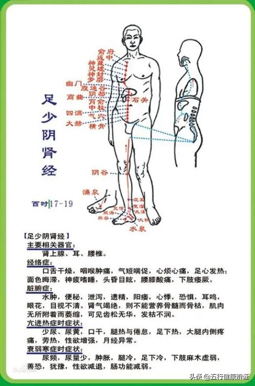 胃受寒恶心，肝受寒头痛，肾受寒肢冷！张仲景是如何温里散寒的？