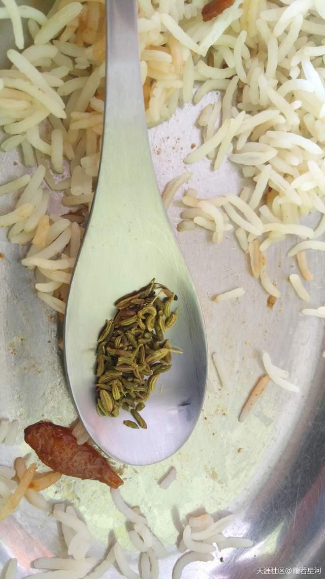 深入阿三腹地——奇葩印度的十日見聞