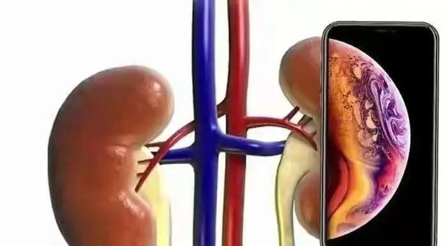 罗永浩以没文化回应苹果iOS15新功能，如今还有人会卖肾买苹果吗