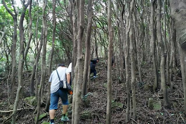 不管什么时候开始养生都不晚，为了长寿牢记三禁忌、两勤快