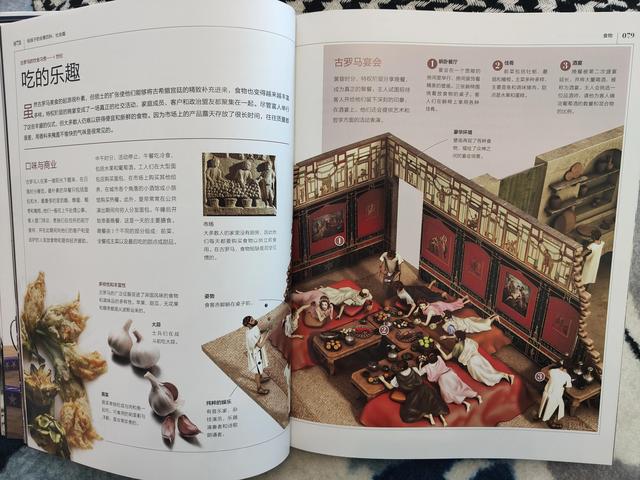 《给孩子的全景百科》沉浸式了解这个世界