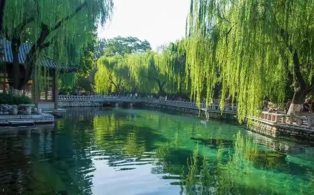 贺知章的诗有哪些（贺知章最著名的两首经典诗歌赏析）