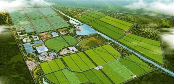 沛县新食品园区规划