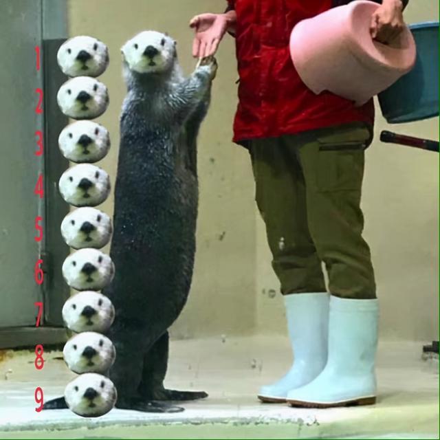 戴文青木:“我没p图呀，我真的155cm九头身呀，呜呜！！”
