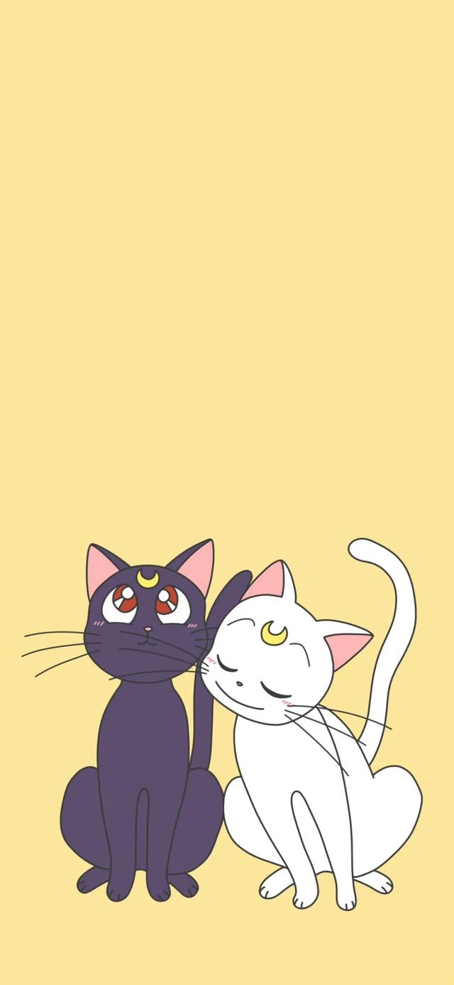 今日的宝藏壁纸