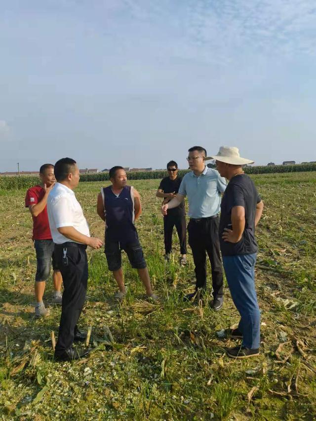 点赞！岳阳县中洲乡变废为宝 化解污染耕地难题