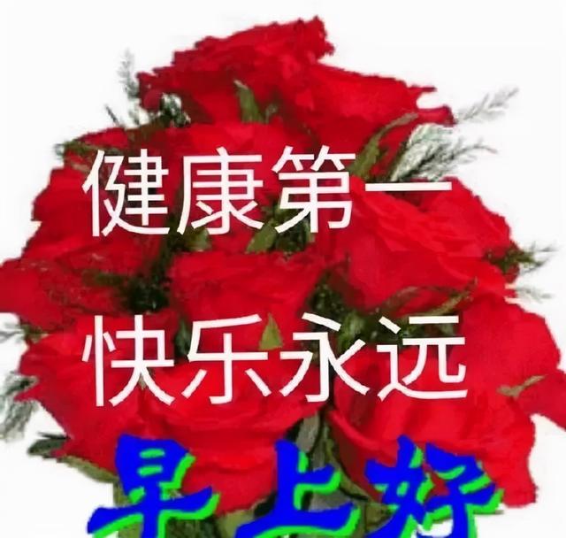 珍惜当下，恬淡随意地生活，便是浅浅的快乐，早安