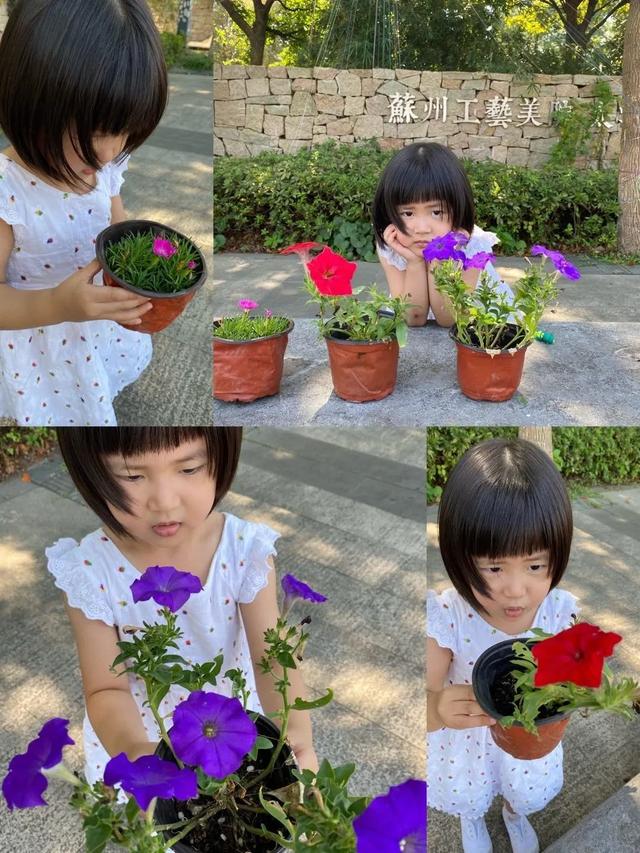 寻花之旅——友联幼儿园小班幼儿《花儿朵朵开》班本课题