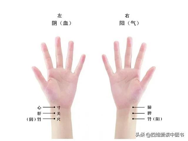 中医知识每日一读 伤寒补例：伤寒重病多是下焦伏寒