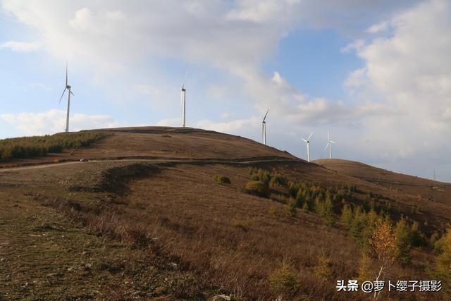 一路向北草原自駕行4：柳樹溝