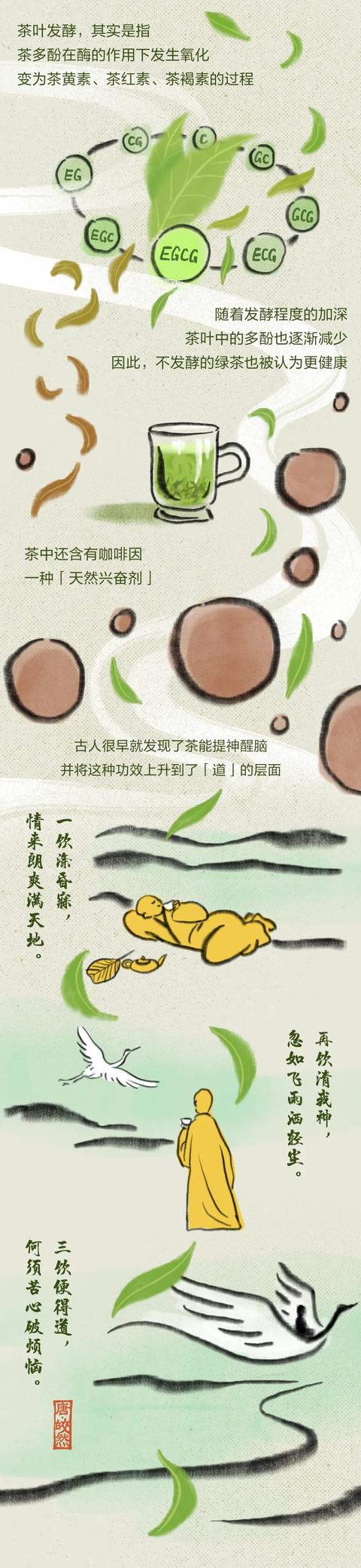 经常喝茶，好处有多大？