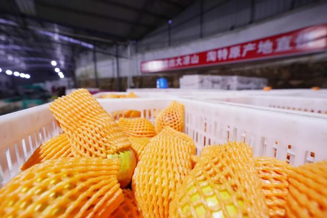 农产品大战，淘特与拼多多谁执牛耳？