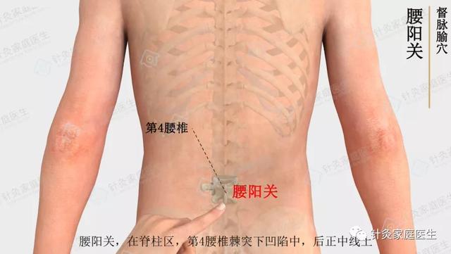 腰阳关穴--中医临床验证的腰部保健第一穴