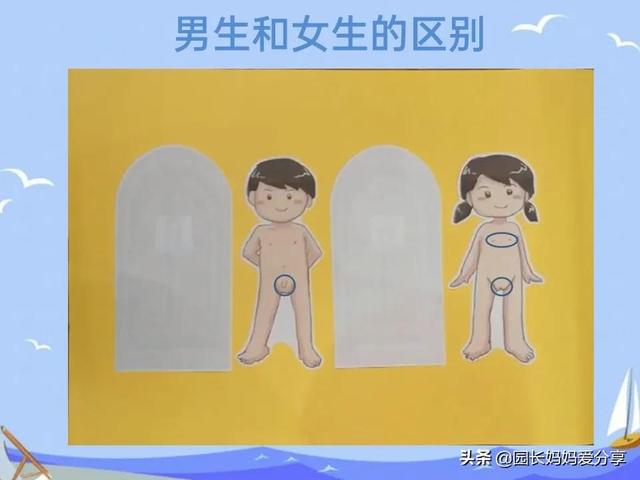 幼儿园健康教案：我的小秘密