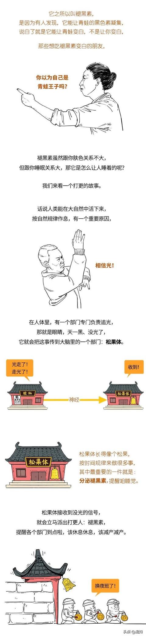 传说中的失眠杀手褪黑素，其实就是个打更的