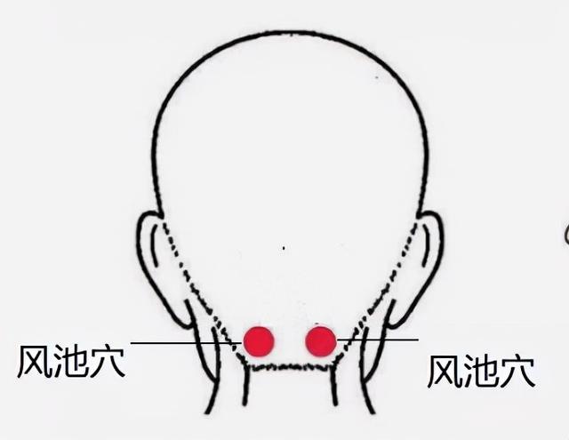 老年人预防感冒常按风池穴