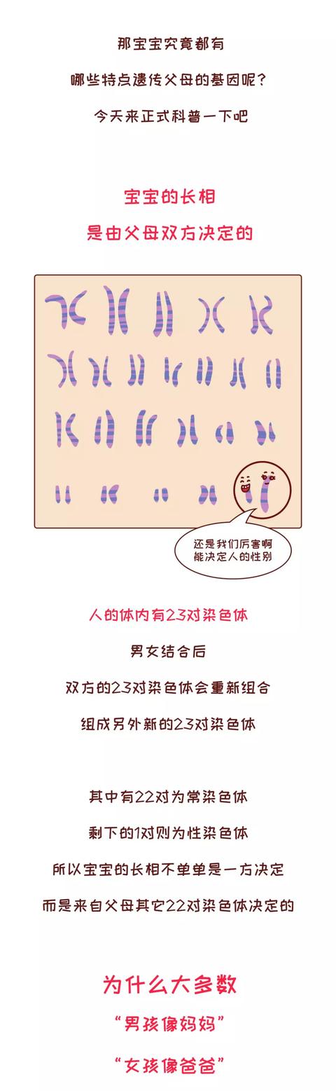 基因遗传有多强大，父母都有哪些基因会遗传给宝宝，快来对照一下