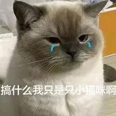 周鸿祎称比马化腾还会写代码，大佬里编程能力排前三，你怎么看？