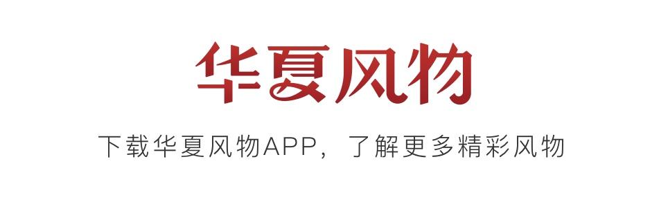 誰說春天才有花看？這份中國冬日賞花指南請查收