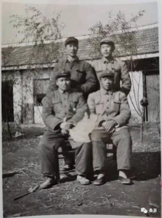 文章图片5