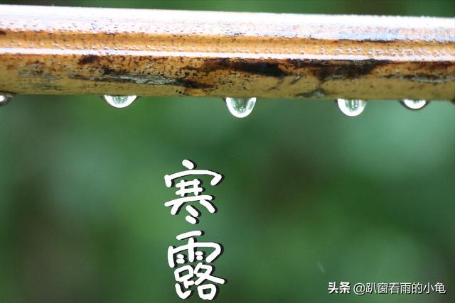 寒露将至，要多吃这5种美食，助力秋冬少生病，安度“多事之秋”