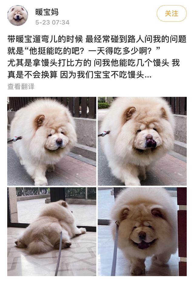 黄贯中的老婆是谁:嫂子大起底！张淇欧阳靖低调已婚？赵文卓黄贯中将宠妻进行到底