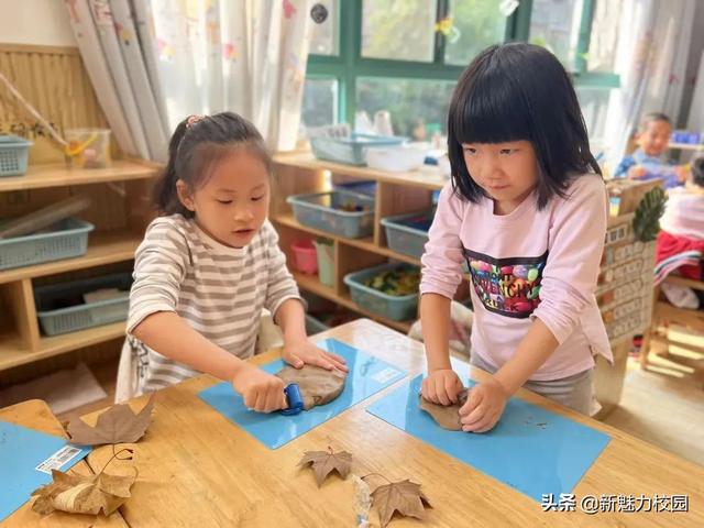 「班级风采」落叶知秋