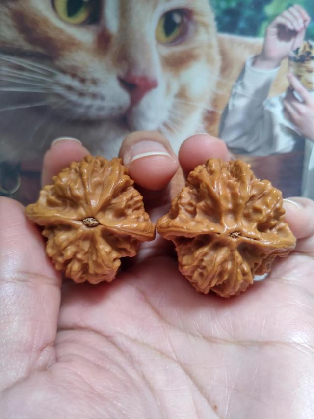 文玩核桃怎么玩（文玩核桃盘玩过程）