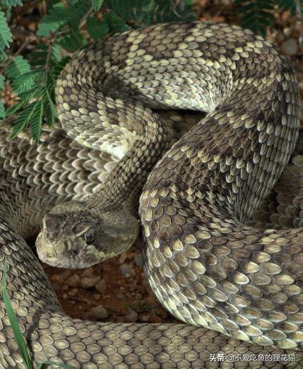 06g][国语中字]云盘下载,公众号推广,海南大学起点论坛 _ powered by