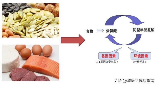 维生素B12不仅补气血还能养眼睛？中老年怎么样正确补维生素B12？