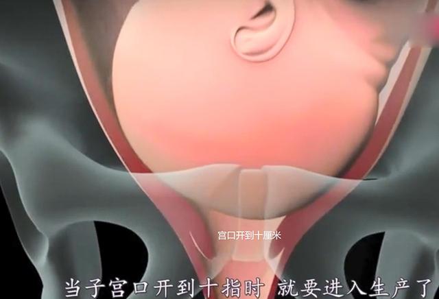 妈妈或许不知，当你分娩疼得死去活来时，宝宝也在很努力地帮忙