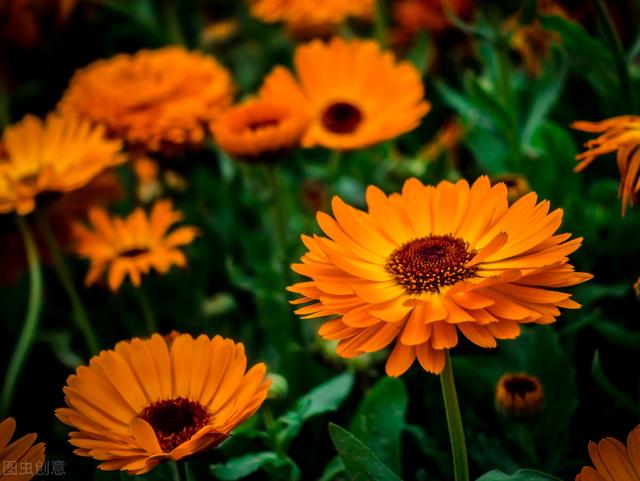 在互助竟然有这样一个世外桃源 全网搜