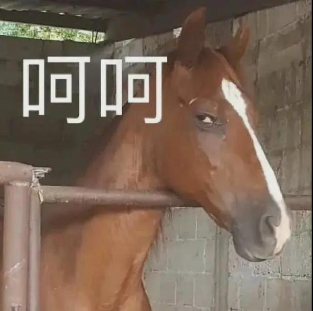 动辄大几百万！为何互联网大厂都热衷于换logo？