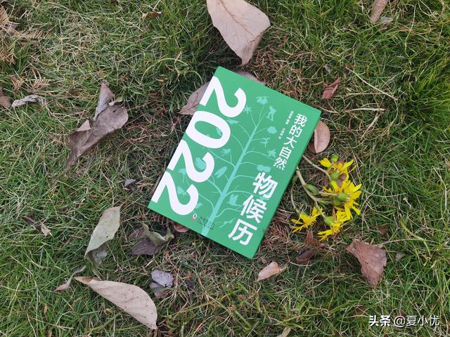 孩子需要怎样的仪式感？