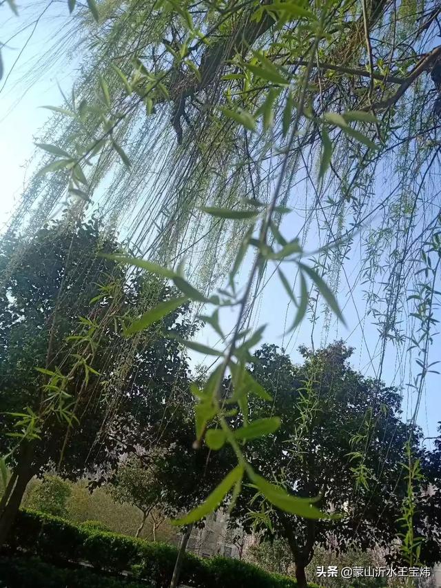 乘风徜徉 满眼春光 今日热点