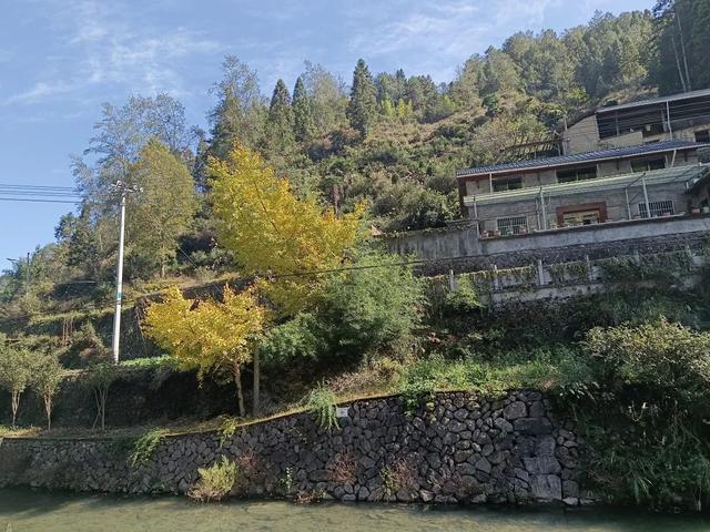 慶元村落｜壩頭村 · 千年古村藏深閨 靜候貴客探新顔