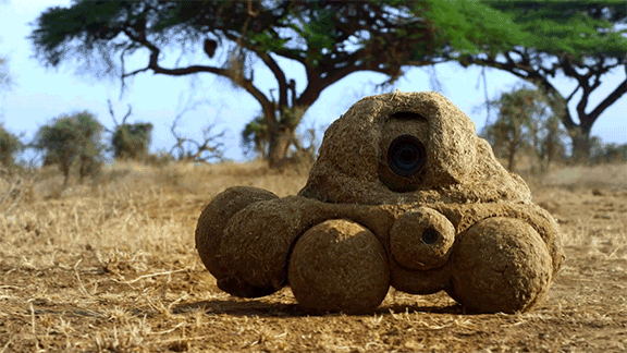好的纪录片，能带领孩子看到另一个世界（附资源）